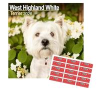 West Highland Terrier Westie Calendar 2026 | 16 months | with FREE Organisational Stickers