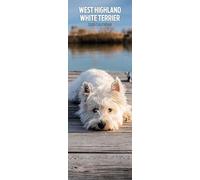 West Highland White 2026 Slim Calendar
