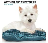 West Highland White 2027 Modern Calendar