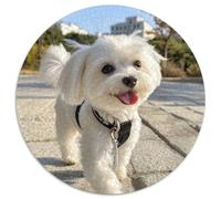 West Highland White Terrier 1000 Piece Jigsaw Puzzle For Adults Educational Games Stress Relief Puzzle Cultivate The Spirit of Teamwork For Adults Gifts 1000pcs (67.5x67.5cm)