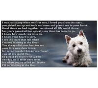 West Highland White Terrier Westie Bereavement pet Dog Loss Sympathy Memorial Flexible Fridge Magnet - Waiting at The Door