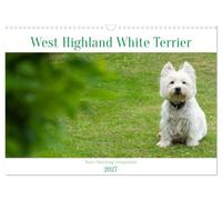 West Highland White Terrier - Your charming companion (Wall Calendar 2027 DIN A3 landscape), CALVENDO 12 Month Wall Calendar: Beautiful shots of the ... the year with this monthly calendar.