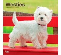 West Highland White Terriers 2027 12 X 24 Inch (Hanging) Monthly Square Wall Calendar Plastic-Free: Original BrownTrout-Kalender [Mehrsprachig] [Kalender]