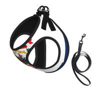 West Virginia State Flag Print Dog Harness,Pet Leash Vest For Small To Medium Dogs,Perfect For Outdoor Adventures