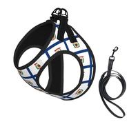 West Virginia State Flag Print Dog Harness Small Sized And Leash Set, Step In Soft Light Puppy Vest Breathable Mesh Pet Harness