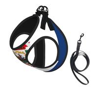 West Virginia State Flag Print Dog Harness with Leash Set with Thickened Padded Vest for Extra-Small/Small Medium Dogs