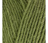 West Yorkshire Knitting Wool - Spinners Colour Lab DK Double Knit British Crochet and Knitting Yarn - 1207 Fern Green