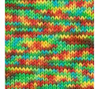 West Yorkshire Spinners ColourLab Sock DK 1202 Pop