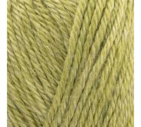 West Yorkshire Spinners Elements DK 1104 Palm Leaf