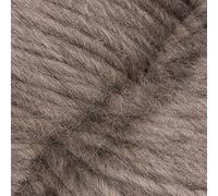 West Yorkshire Spinners Fleece Bluefaced Leicester Roving 002 Light Brown