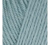 West Yorkshire Spinners - Morris DK (1278 Hyacinth)