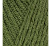West Yorkshire Spinners - Morris DK (1282 Yew)