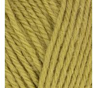 West Yorkshire Spinners - Morris DK (1283 Artichoke)