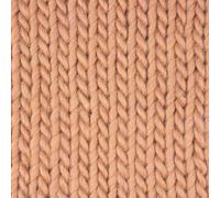 West Yorkshire Spinners Re:Treat Super Chunky Roving 1121 Fulfil