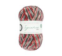West Yorkshire Spinners Signature 4 Ply 0861 Bullfinch