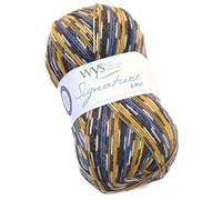 West Yorkshire Spinners Signature 4 Ply 818 Blue Tit