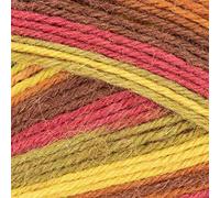 West Yorkshire Spinners Signature 4 Ply 885 Autumn Leaves