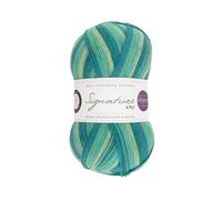 West Yorkshire Spinners Signature 4ply Winwick Mum Collection Seascape 873 100g Sock Yarn