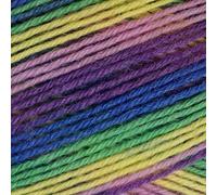 West Yorkshire Spinners Signature 4ply Winwick Mum Collection Wildflower 872 100g