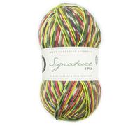 West Yorkshire Spinners West Yorkshire Knitting Wool - Spinners Signature - 4 Ply - Sock Fingering British - 1170 Green Woodpecker