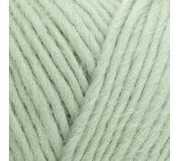 West Yorkshire Wool Spinners - Re:Treat Chunky British - Bluefaced Crochet Yarn - 1156 Breathe