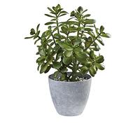 Westcharm 16 in. Potted Faux Jade Plant Home Décor | Artificial Crassula Ovata Succulent Money Tree in Melamine Pot | Fake Greenery for Office, Home, Kitchen, Bathroom, Bookshelf
