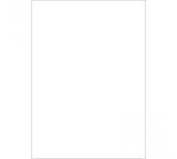 Westcott Basics X-Drop Background Cloth - White