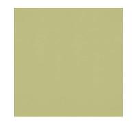 Westcott X-Drop Pro Wrinkle-Resistant 8' x 8' (2.44 x 2.44m) Backdrop for Headshots, Photoshoots, Group Portraits, Video Interviews, & Photo Booths - Portable and Travel Friendly (Light Moss Green)