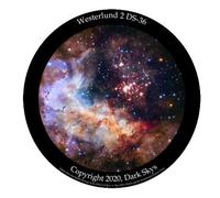 Westerlund 2 Star disc for The Homestar Flux Home Planetarium