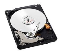 Western Digital Blue 320 GB Laptop Hard Disk Drive (5400 RPM, SATA 6 Gb/s, 2.5 inch) - Component Boxed
