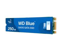 Western Digital Blue SA510 M.2 250 GB Serial ATA III