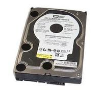 Western Digital Caviar SE Hard Drive WD2500AAJS