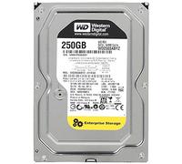 Western Digital RE 250 GB 3.5 "SATA III Hard Drive Serial ATA III, 250 GB, 8.89 cm (3.5"), 6.4 W, 6.5 W, 4.4 W