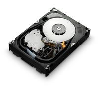 Western Digital Ultrastar 15K600 internal hard drive 300 GB 15000 RPM
