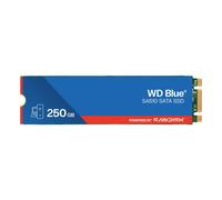 Western Digital WD Blue SA510 SATA SSD M.2 2280 POWERED BY SANDISK 250 GB