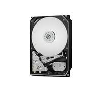 Western Digital WD Gold datacenter Hard Drive - HDD - 1TB - sata 6gb/s wd1005fbyz