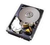 Western Digital WD1601ABYS 160GB Hard Drive