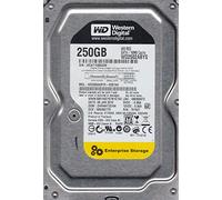 Western Digital WD2502ABYS-02B7A0, DCM DHRNHT2CHN, 250GB SATA 3.5 Hard Drive