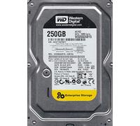 Western Digital WD2502ABYS-02B7A0, DCM HARNHT2AAN, 250GB SATA 3.5 Hard Drive
