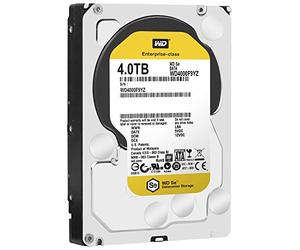 Western Digital WD4000F9YZ - WD SE 4TB 3.5 SATA 7200RPM HDD