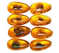 Western Eagle Workshop 8pcs Amber Fossil with Insects Samples Stones Crystal Specimens Home Decorations Collection Oval Pendant