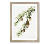Western Larch by Mary Vaux Walcott Framed Print | A2 Oak Framed Wall Art | Ready to Hang | Modern Nature Picture | Living Room Bedroom Lounge Office