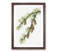 Western Larch by Mary Vaux Walcott Framed Print | A2 Walnut Framed Wall Art | Ready to Hang | Modern Nature Picture | Living Room Bedroom Lounge Office