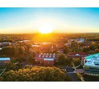 Western New England University