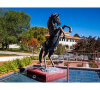 Western New Mexico University