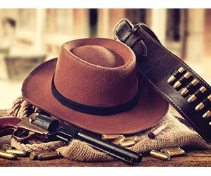 Western Violence, Law, and Order