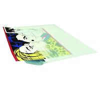 Westfolio Budget Folio Opaline A2, Plastic Wallet Art Bag Folder, Essentials, Project Folders, Portable Carrier Art, Painting