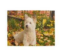 Westie Autumn West Highland White Terrier Dogs,500 Pieces Puzzles for Adults-Wooden Jigsaw Puzzle for Adults Elderly
