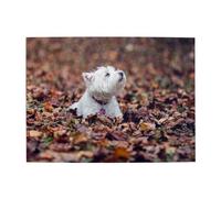 Westie Bokeh West Highland White Terrier Dogs,500 Pieces Puzzles for Adults-Wooden Jigsaw Puzzle for Adults Elderly