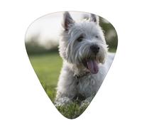 Westie Lawn West Highland White Terrier Dogs,12 Pcs Guitar Pick,3 Different Thickness Plectrums for Acoustic Guitar Bass Ukulele (0.46mm 0.96mm 0.71mm)